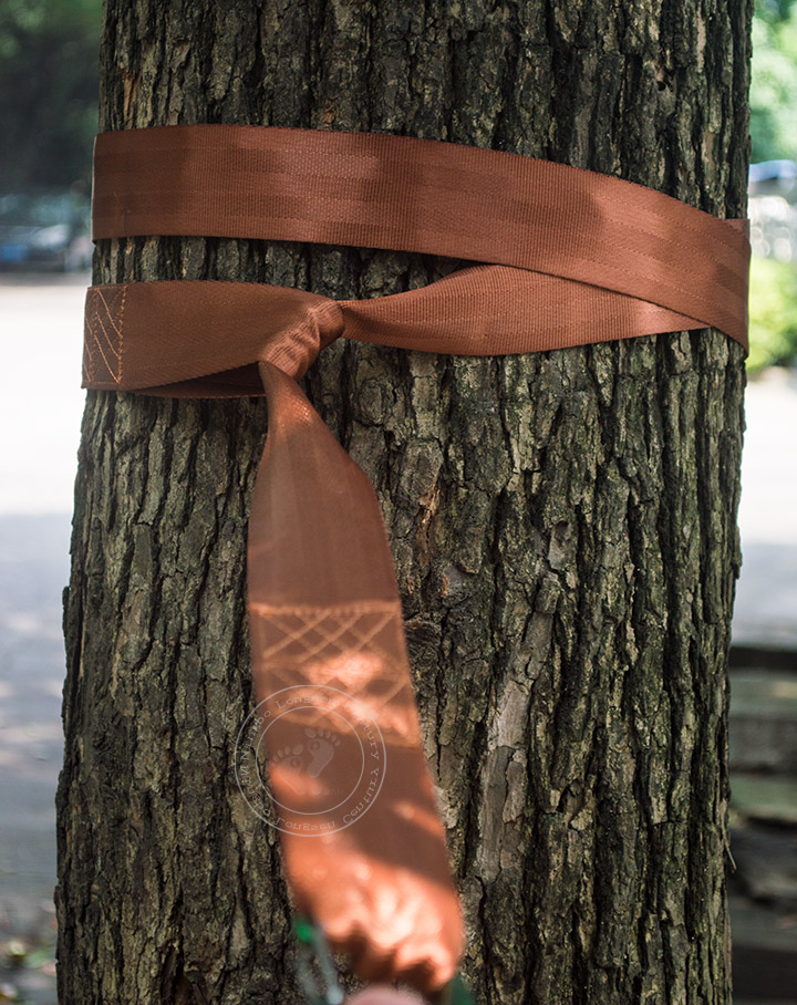 tree-straps-6.jpg